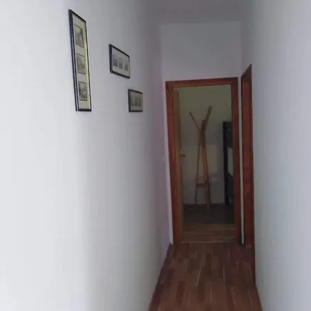 Apartment Ivic *